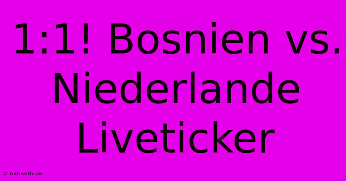 1:1! Bosnien Vs. Niederlande Liveticker