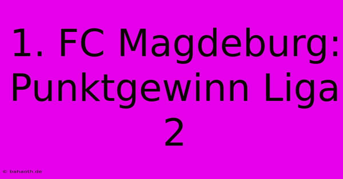 1. FC Magdeburg: Punktgewinn Liga 2