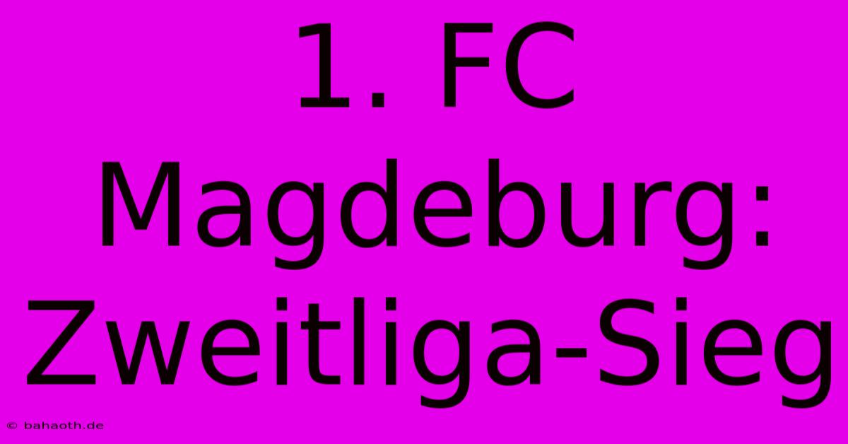 1. FC Magdeburg: Zweitliga-Sieg