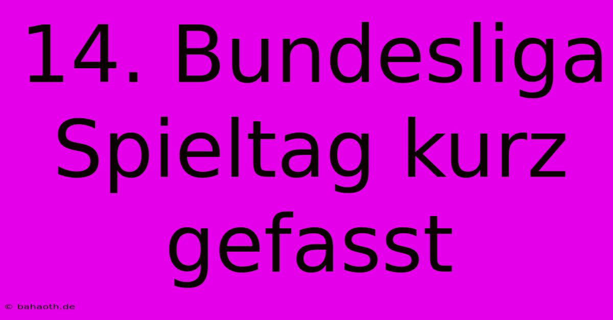 14. Bundesliga Spieltag Kurz Gefasst