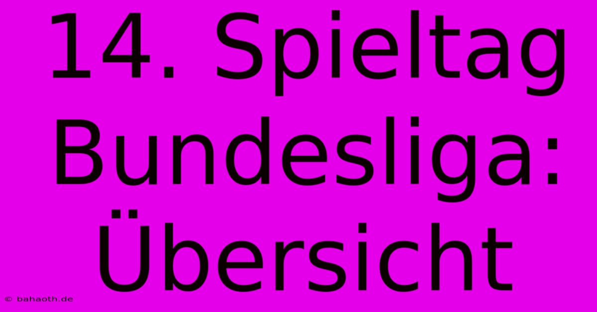 14. Spieltag Bundesliga: Übersicht