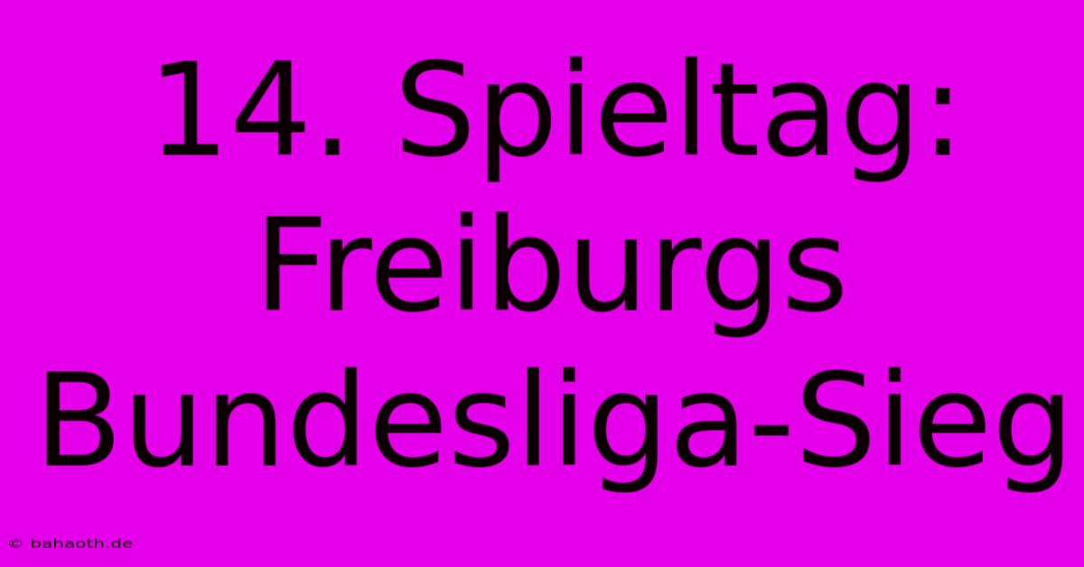 14. Spieltag: Freiburgs Bundesliga-Sieg