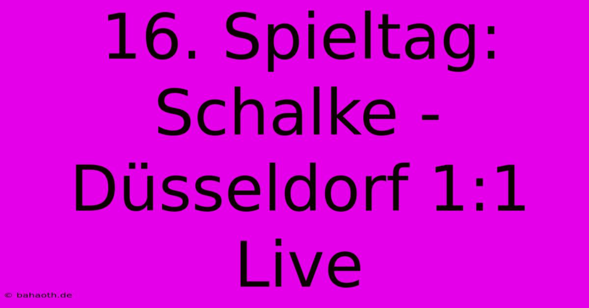 16. Spieltag: Schalke - Düsseldorf 1:1 Live