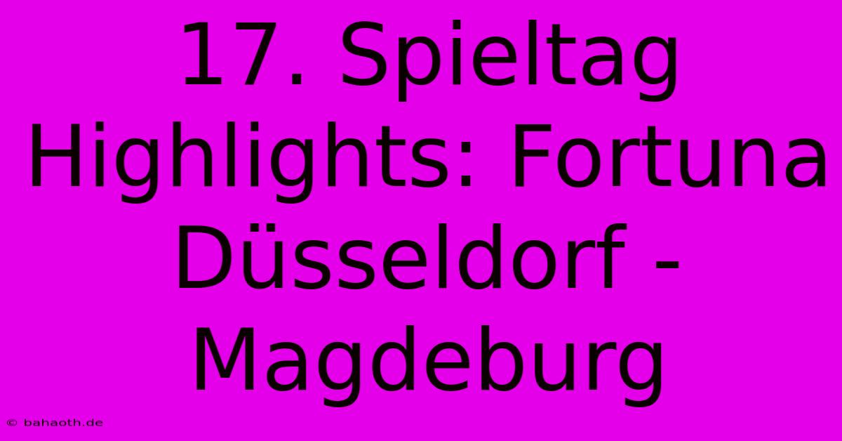 17. Spieltag Highlights: Fortuna Düsseldorf - Magdeburg