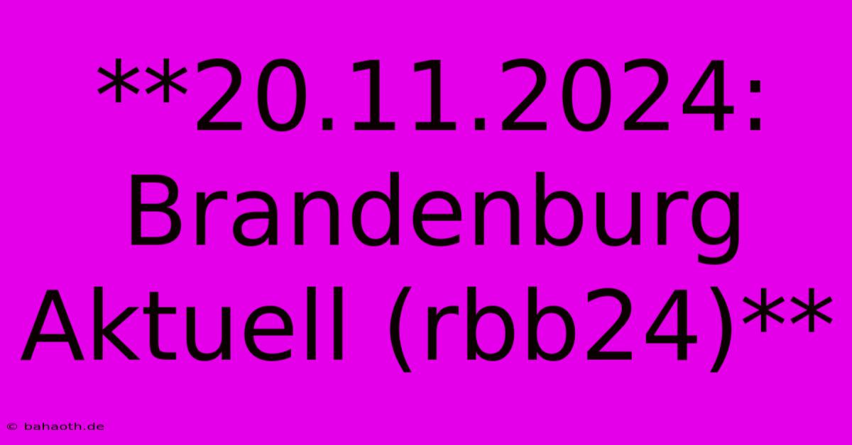 **20.11.2024: Brandenburg Aktuell (rbb24)**