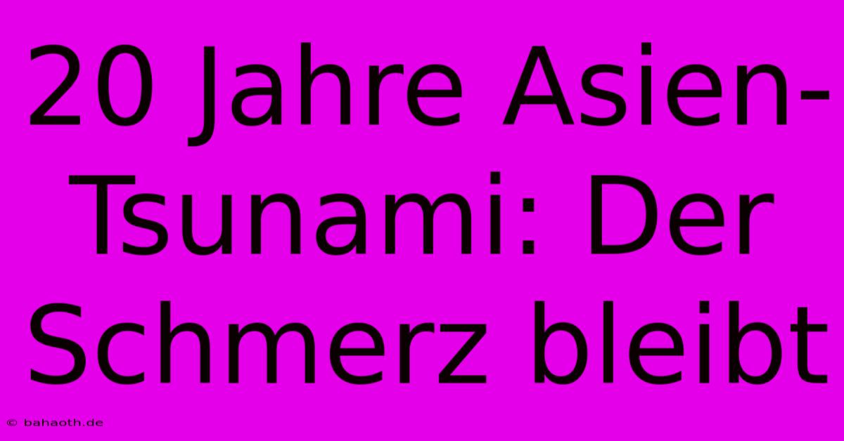 20 Jahre Asien-Tsunami: Der Schmerz Bleibt