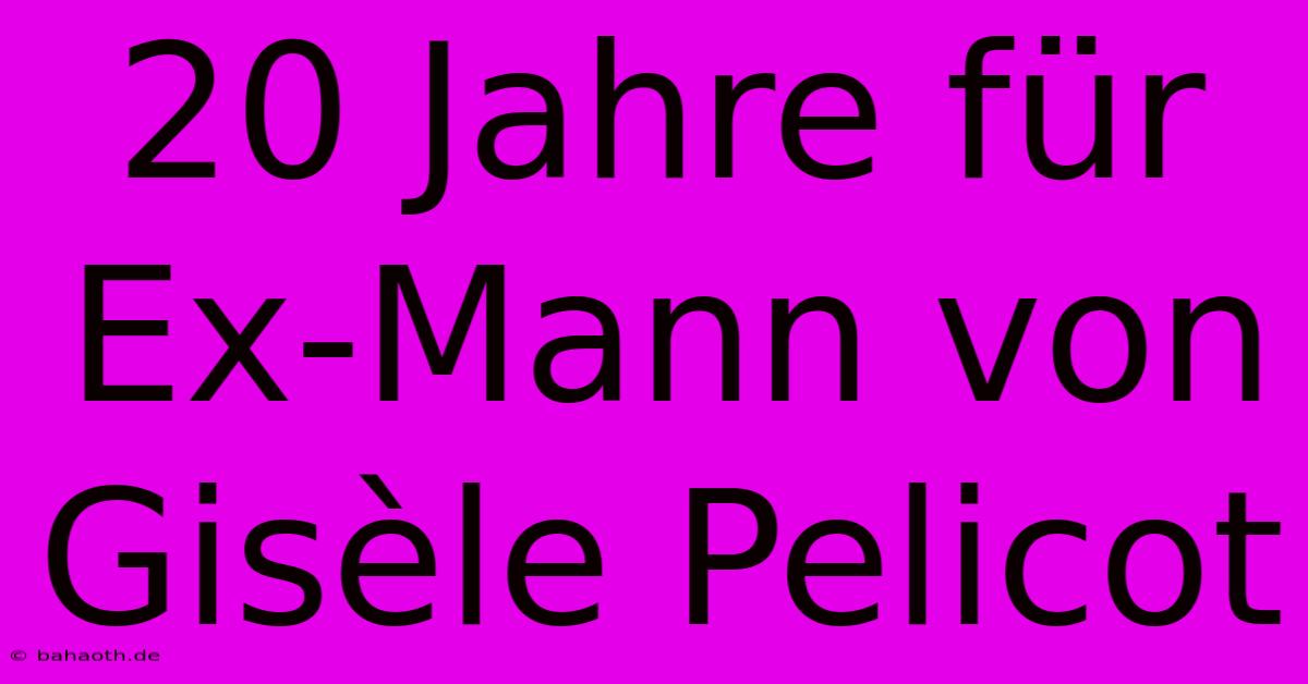 20 Jahre Für Ex-Mann Von Gisèle Pelicot