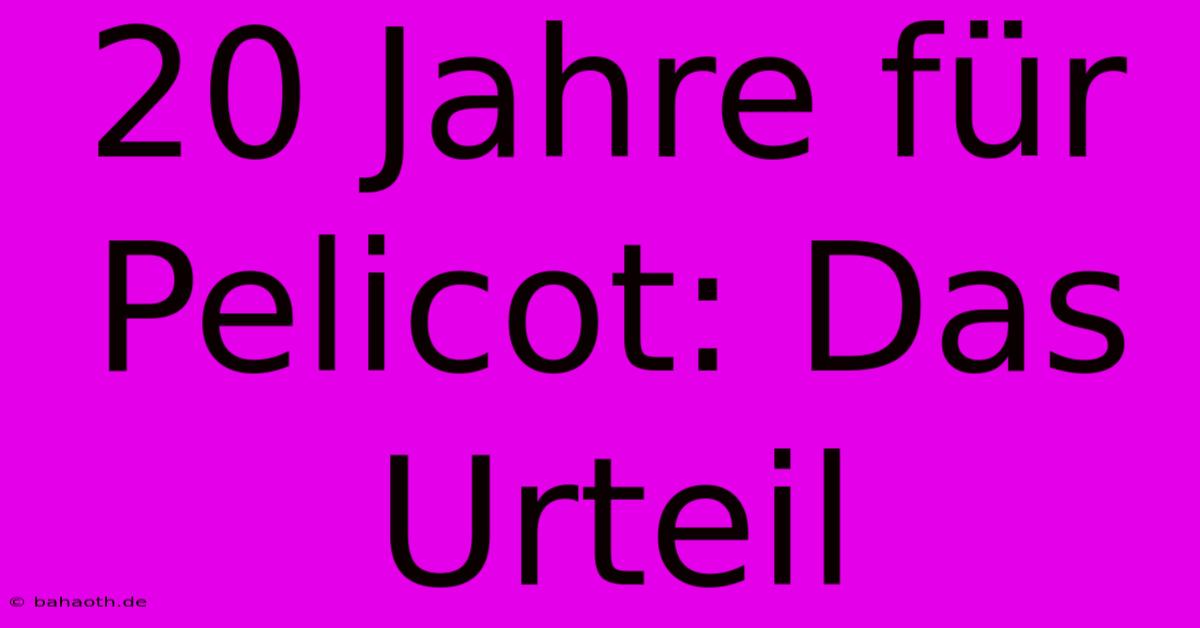 20 Jahre Für Pelicot: Das Urteil