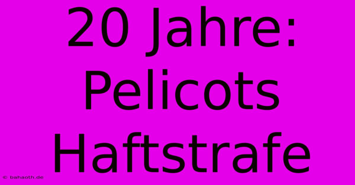 20 Jahre: Pelicots Haftstrafe