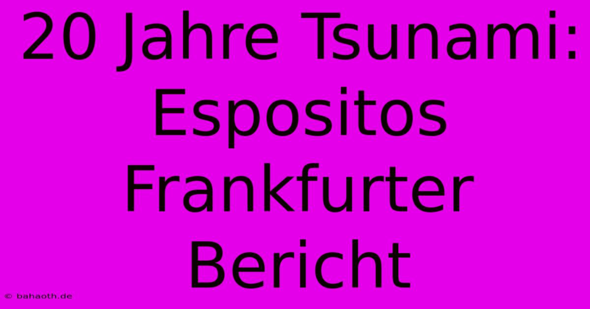 20 Jahre Tsunami: Espositos Frankfurter Bericht