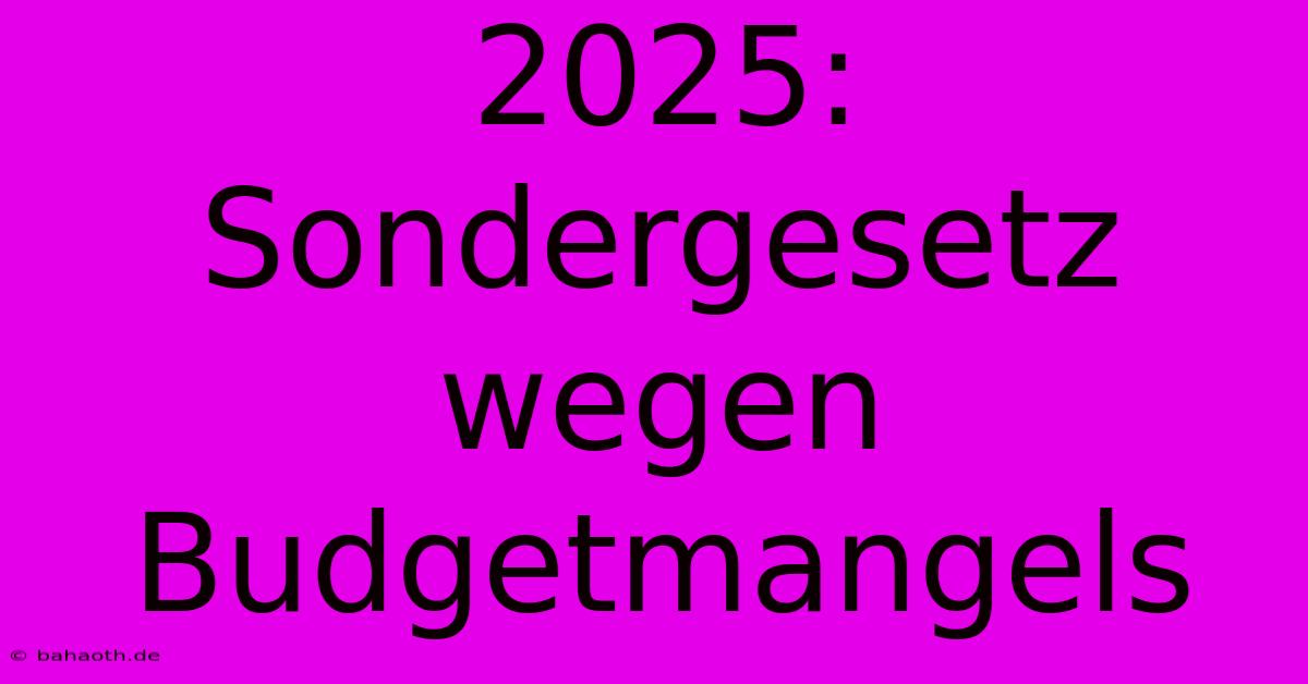 2025:  Sondergesetz Wegen Budgetmangels