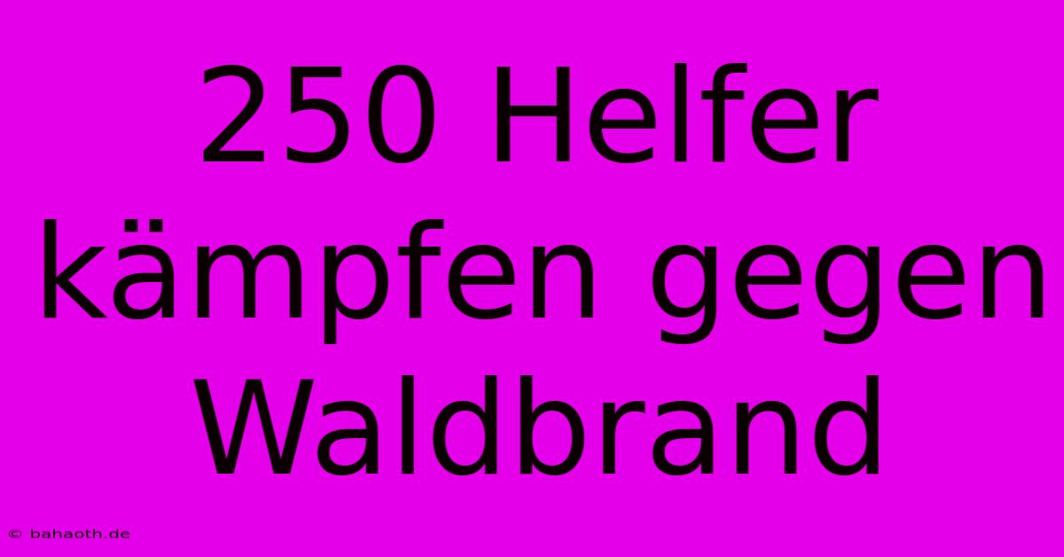 250 Helfer Kämpfen Gegen Waldbrand