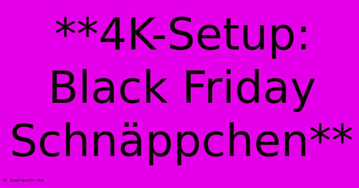 **4K-Setup: Black Friday Schnäppchen**