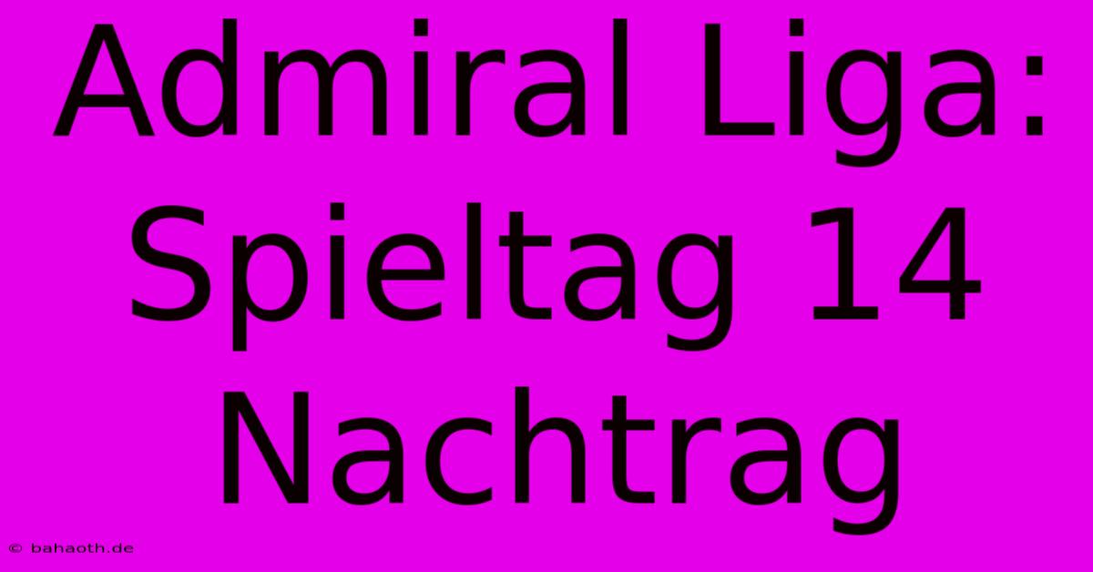 Admiral Liga: Spieltag 14 Nachtrag