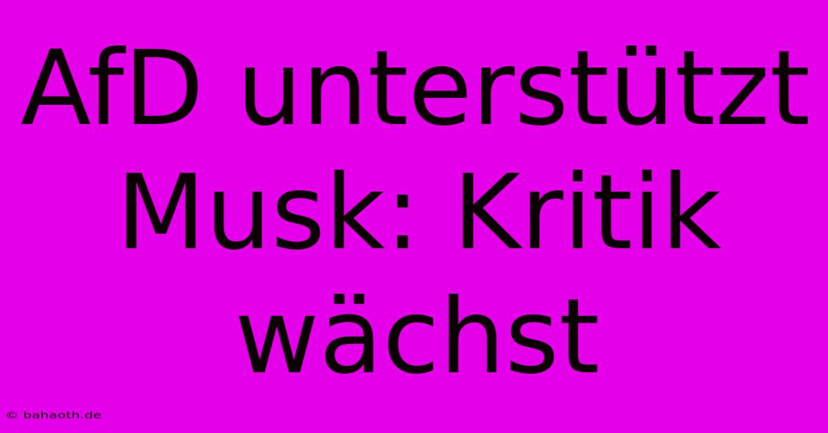 AfD Unterstützt Musk: Kritik Wächst