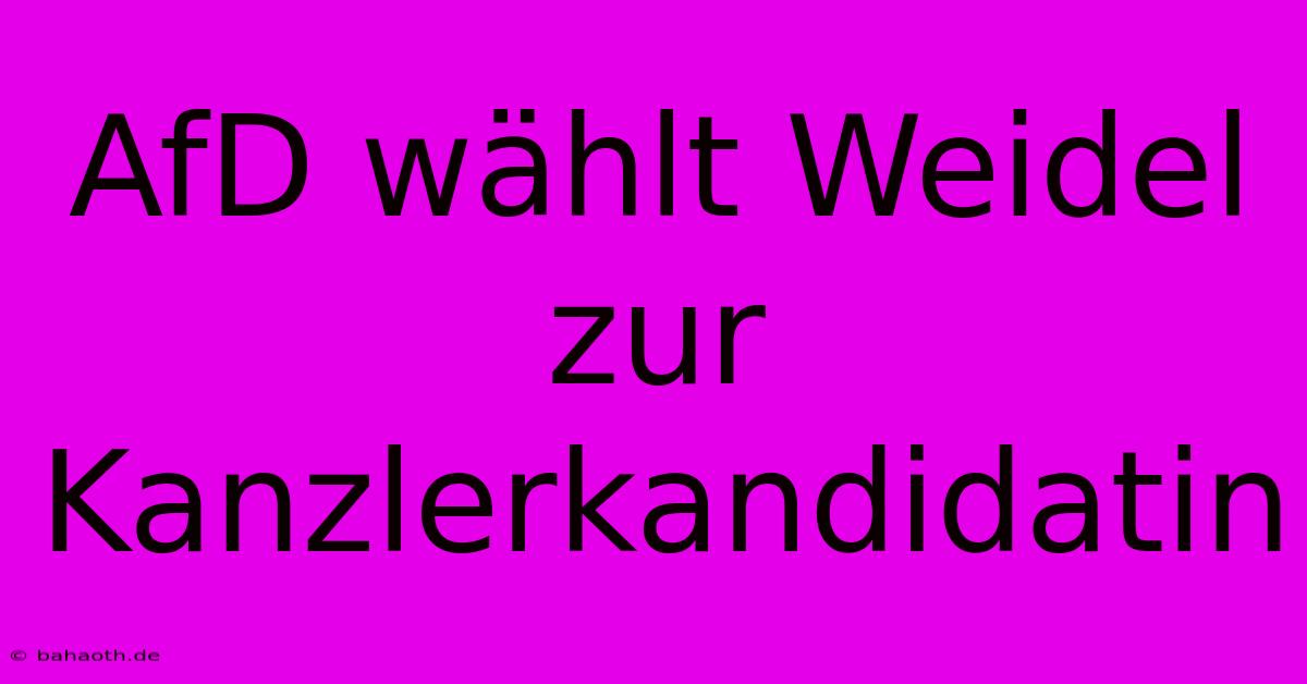 AfD Wählt Weidel Zur Kanzlerkandidatin