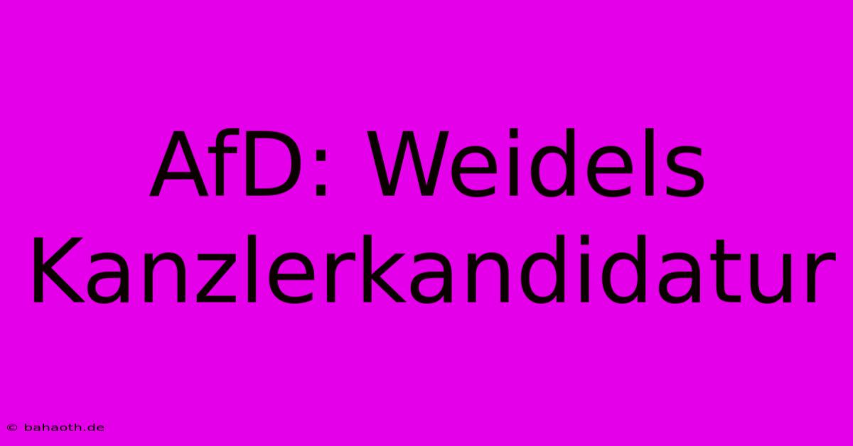 AfD: Weidels Kanzlerkandidatur