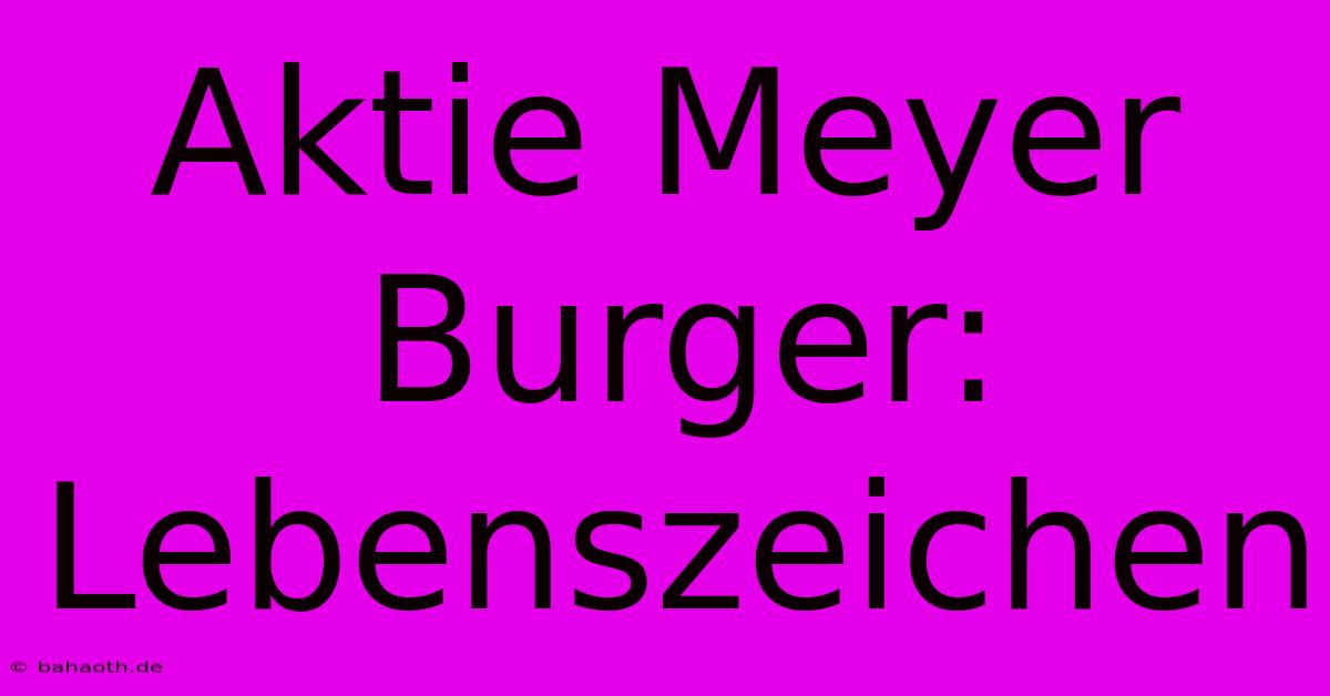 Aktie Meyer Burger: Lebenszeichen