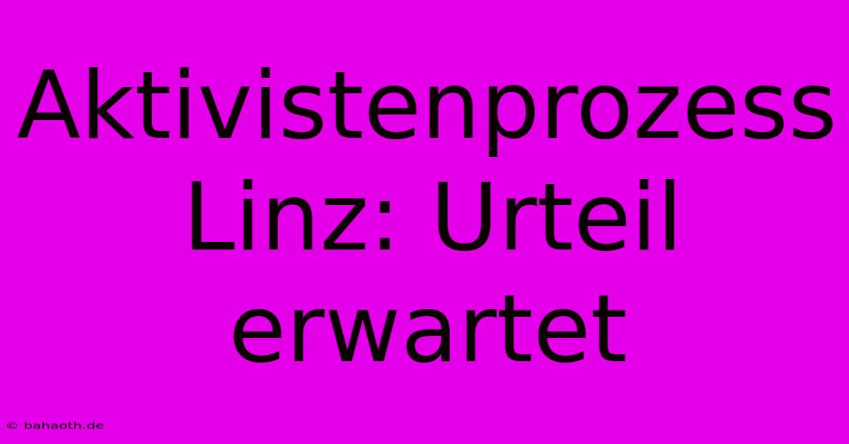 Aktivistenprozess Linz: Urteil Erwartet