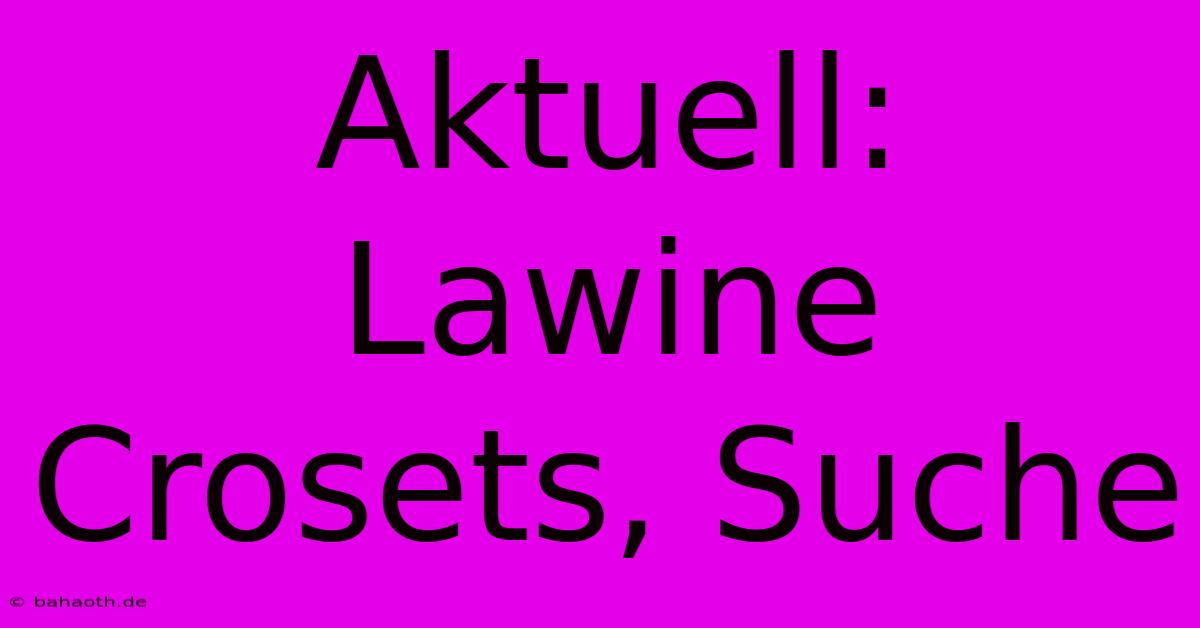 Aktuell: Lawine Crosets, Suche