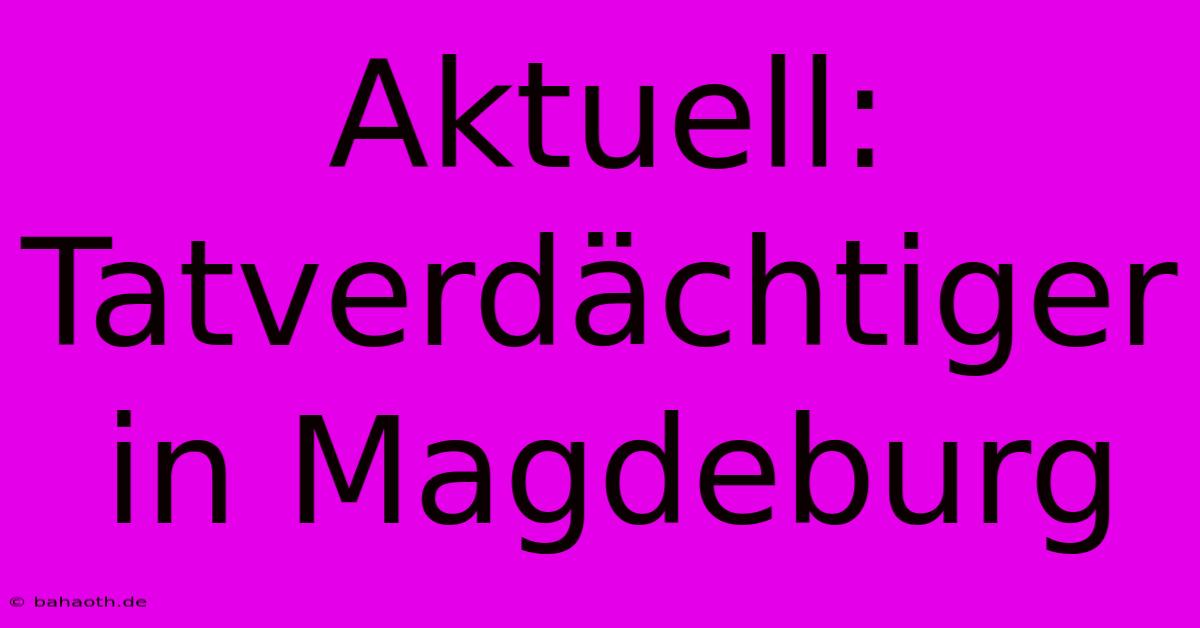 Aktuell: Tatverdächtiger In Magdeburg