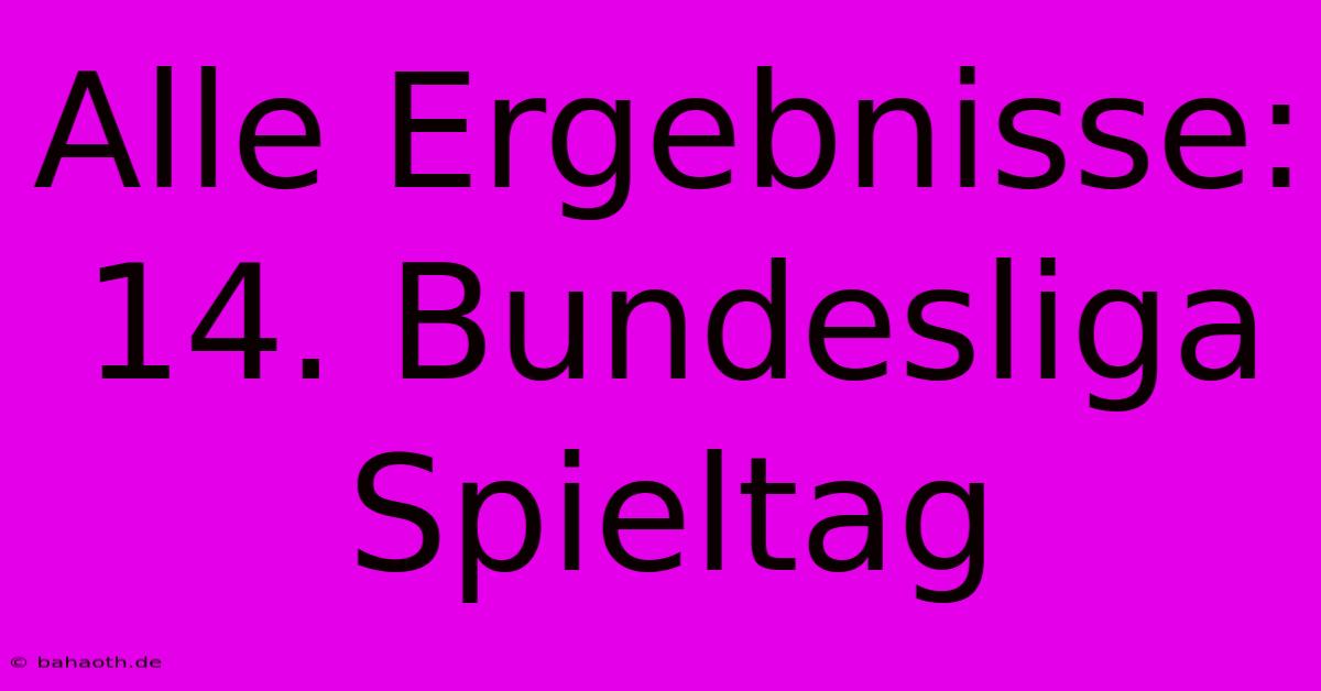 Alle Ergebnisse: 14. Bundesliga Spieltag