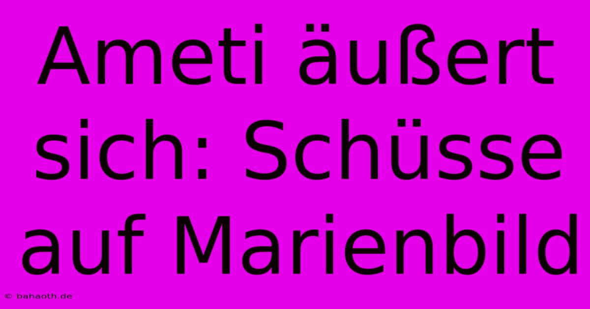 Ameti Äußert Sich: Schüsse Auf Marienbild