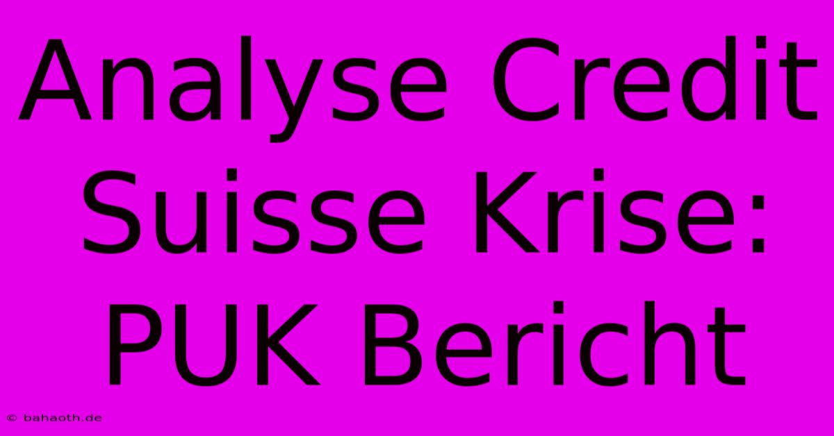 Analyse Credit Suisse Krise: PUK Bericht