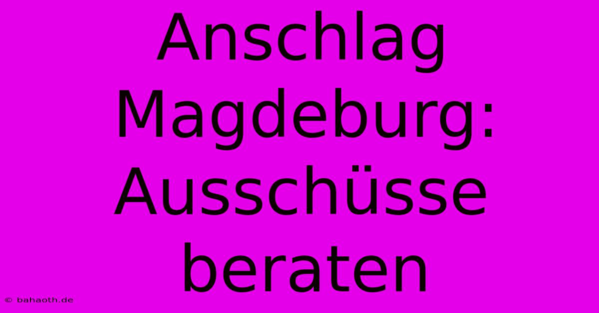 Anschlag Magdeburg: Ausschüsse Beraten