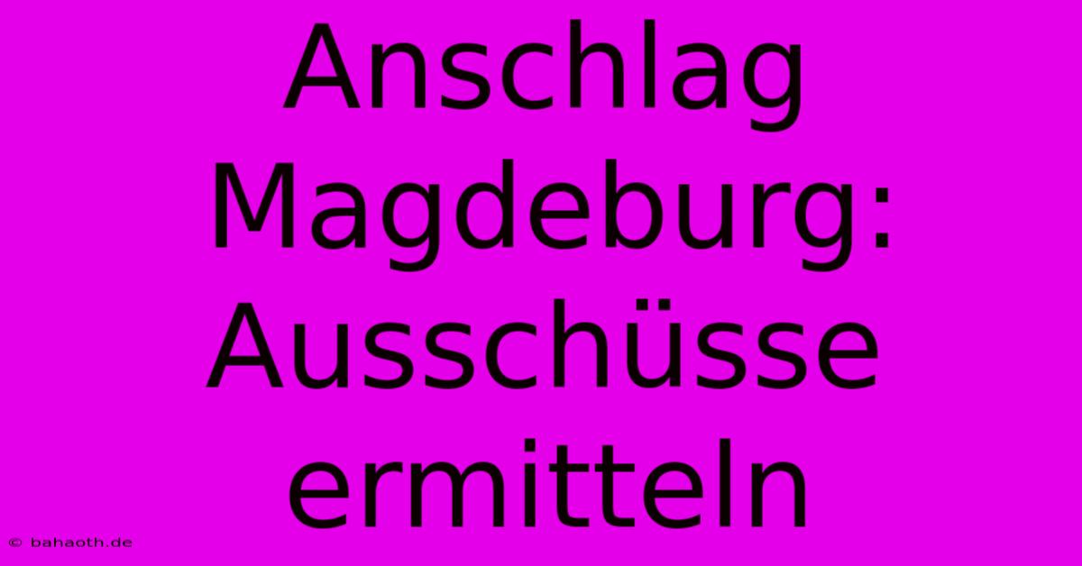 Anschlag Magdeburg:  Ausschüsse Ermitteln