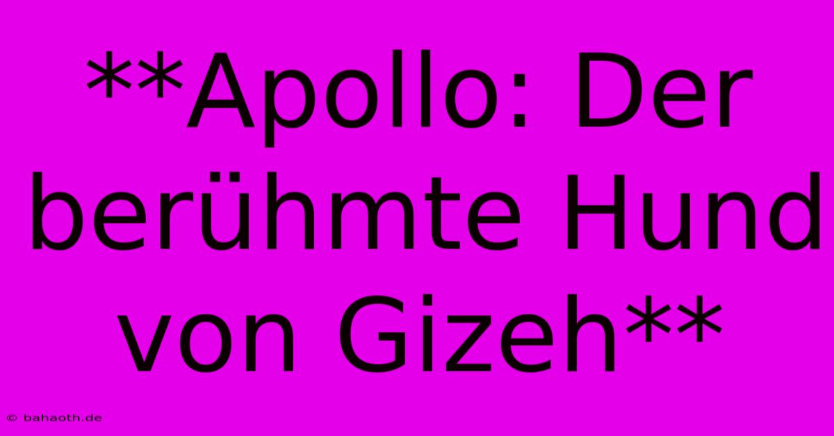 **Apollo: Der Berühmte Hund Von Gizeh**