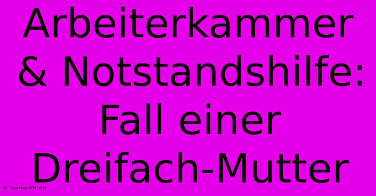 Arbeiterkammer & Notstandshilfe: Fall Einer Dreifach-Mutter