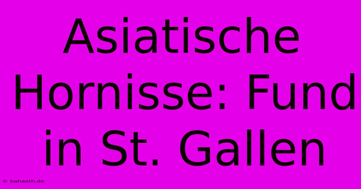 Asiatische Hornisse: Fund In St. Gallen