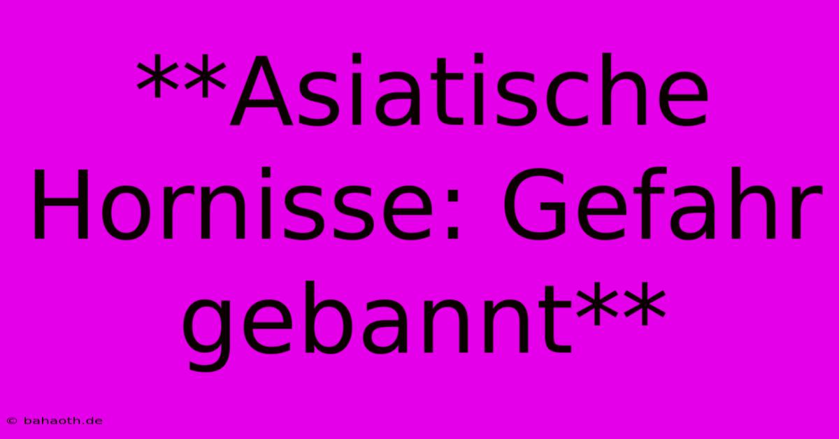 **Asiatische Hornisse: Gefahr Gebannt**