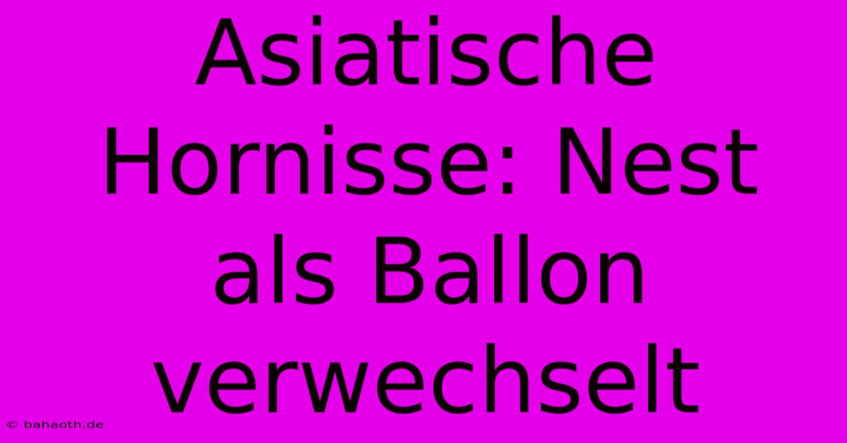 Asiatische Hornisse: Nest Als Ballon Verwechselt