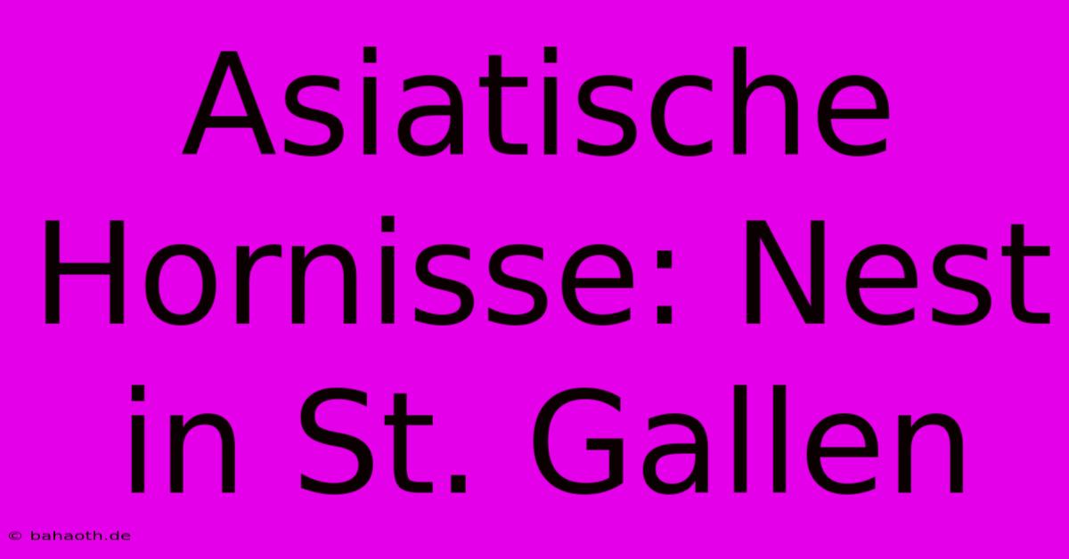 Asiatische Hornisse: Nest In St. Gallen