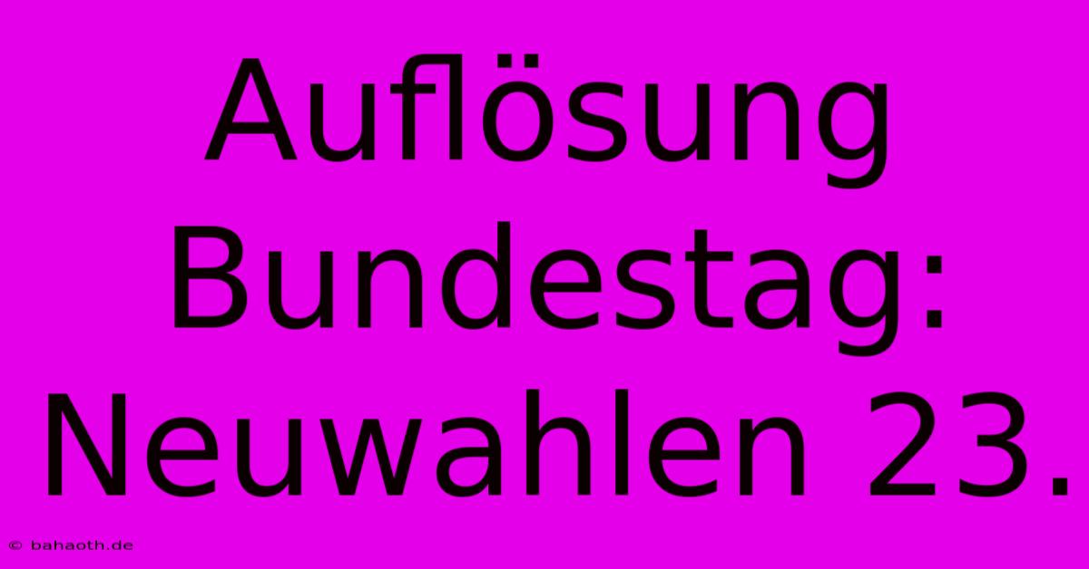 Auflösung Bundestag: Neuwahlen 23.