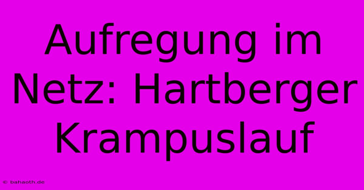 Aufregung Im Netz: Hartberger Krampuslauf