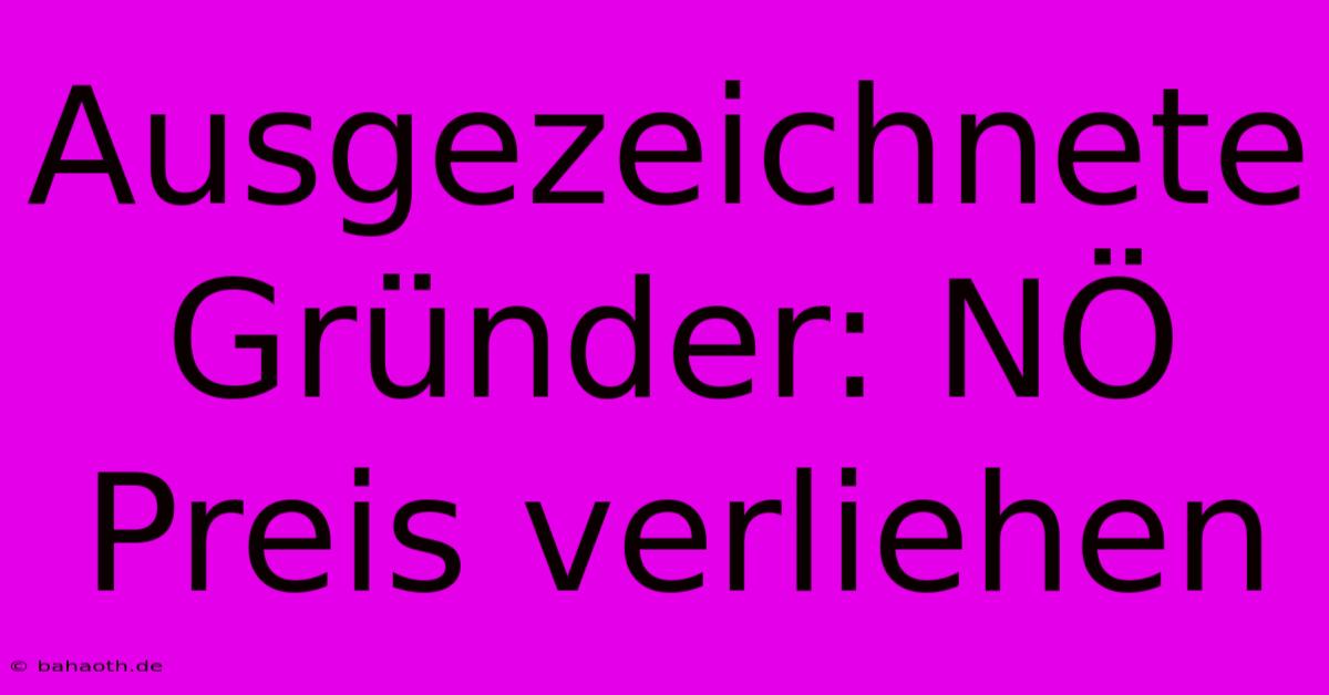 Ausgezeichnete Gründer: NÖ Preis Verliehen