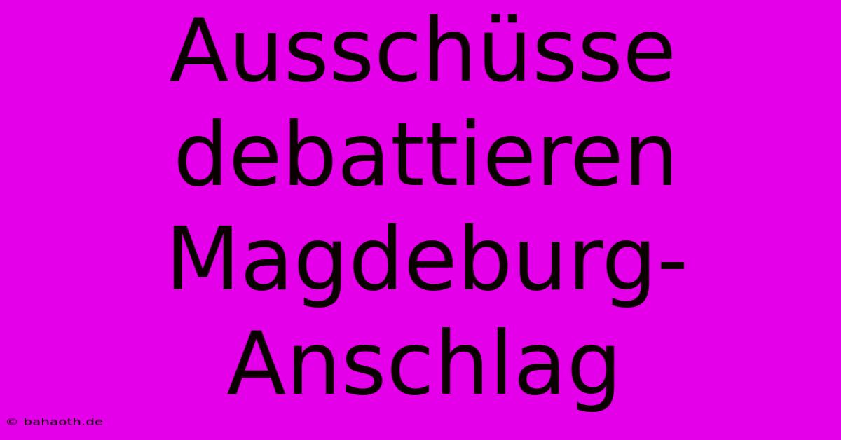 Ausschüsse Debattieren Magdeburg-Anschlag