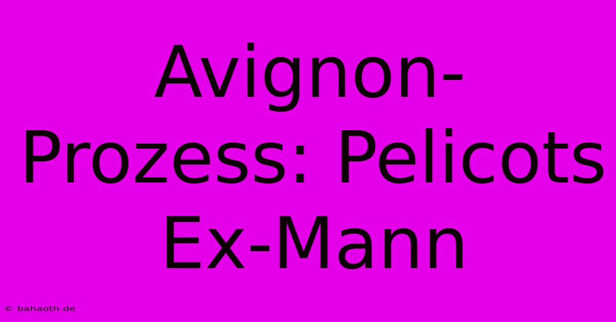 Avignon-Prozess: Pelicots Ex-Mann