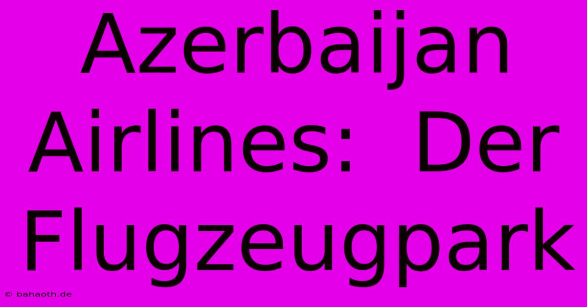 Azerbaijan Airlines:  Der Flugzeugpark