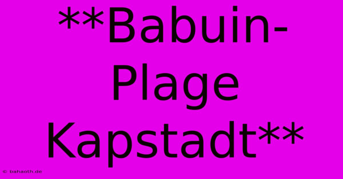 **Babuin-Plage Kapstadt**