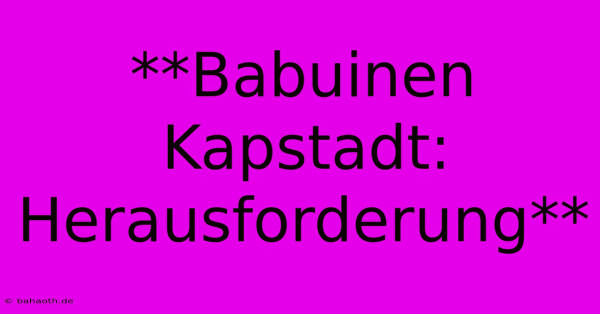 **Babuinen Kapstadt: Herausforderung**