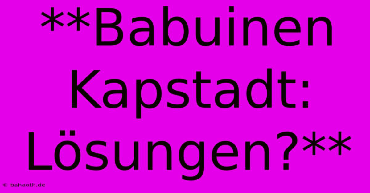 **Babuinen Kapstadt: Lösungen?**