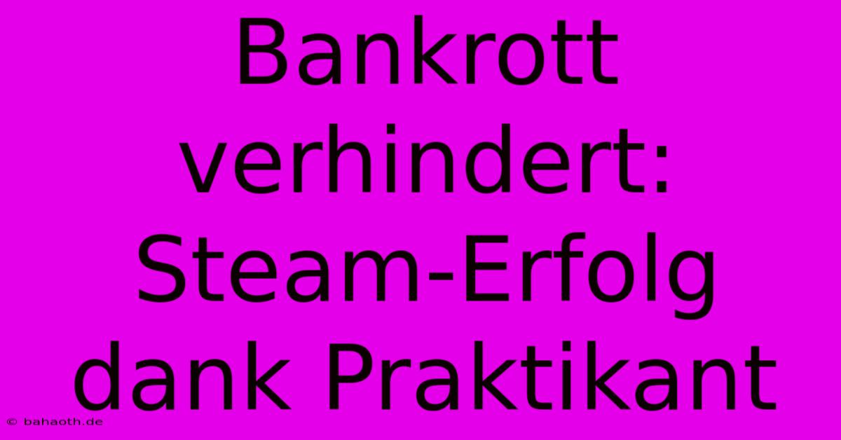 Bankrott Verhindert: Steam-Erfolg Dank Praktikant