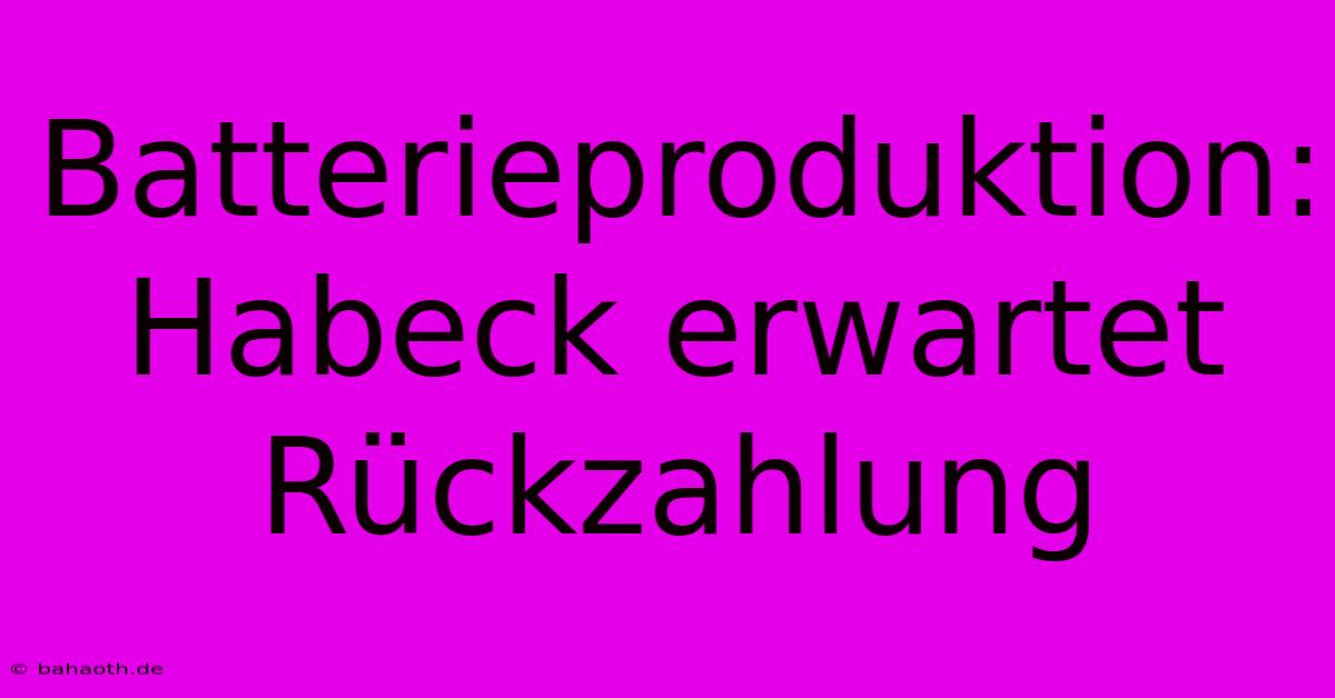 Batterieproduktion: Habeck Erwartet Rückzahlung