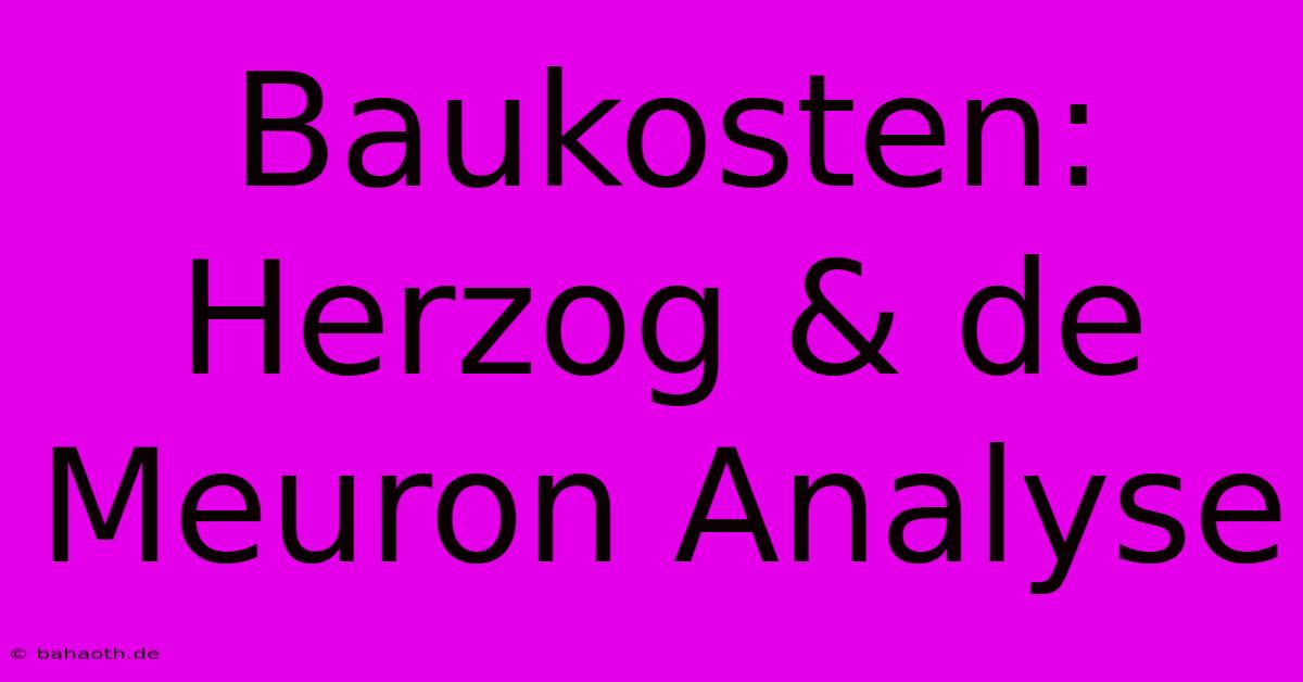 Baukosten: Herzog & De Meuron Analyse