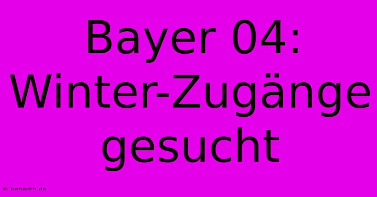 Bayer 04:  Winter-Zugänge Gesucht