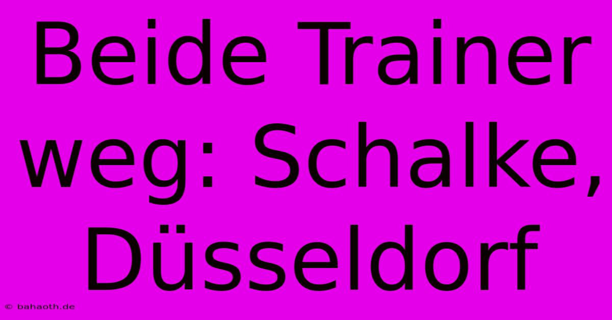 Beide Trainer Weg: Schalke, Düsseldorf